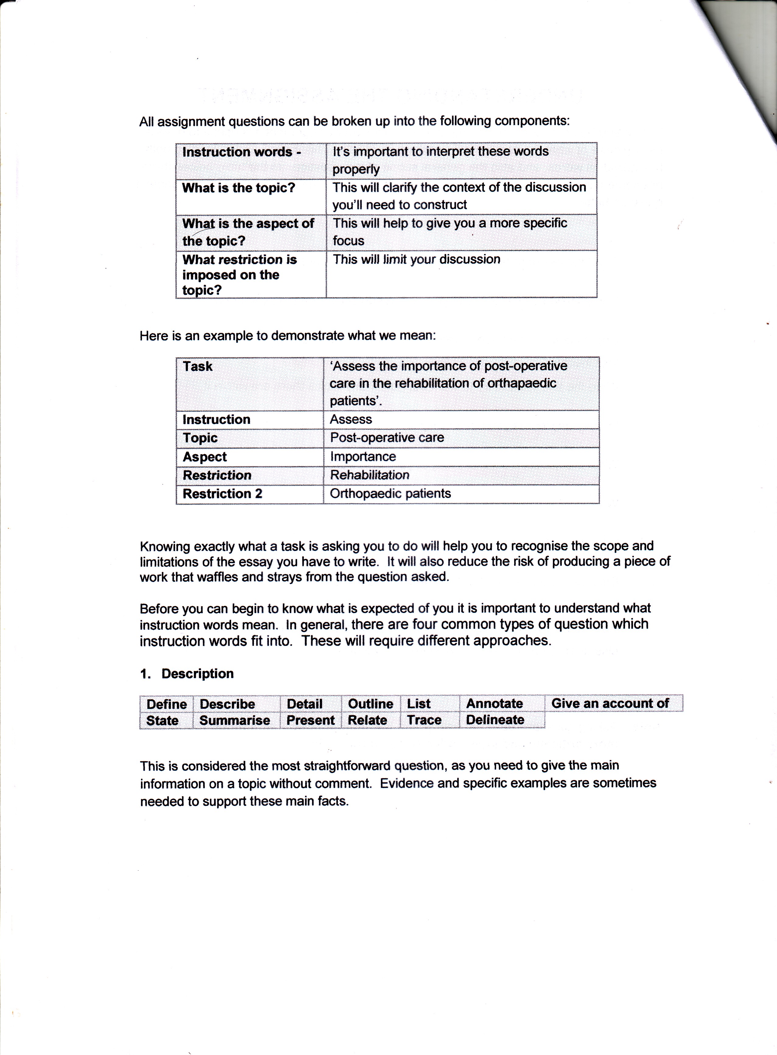 sample essay for college writer free