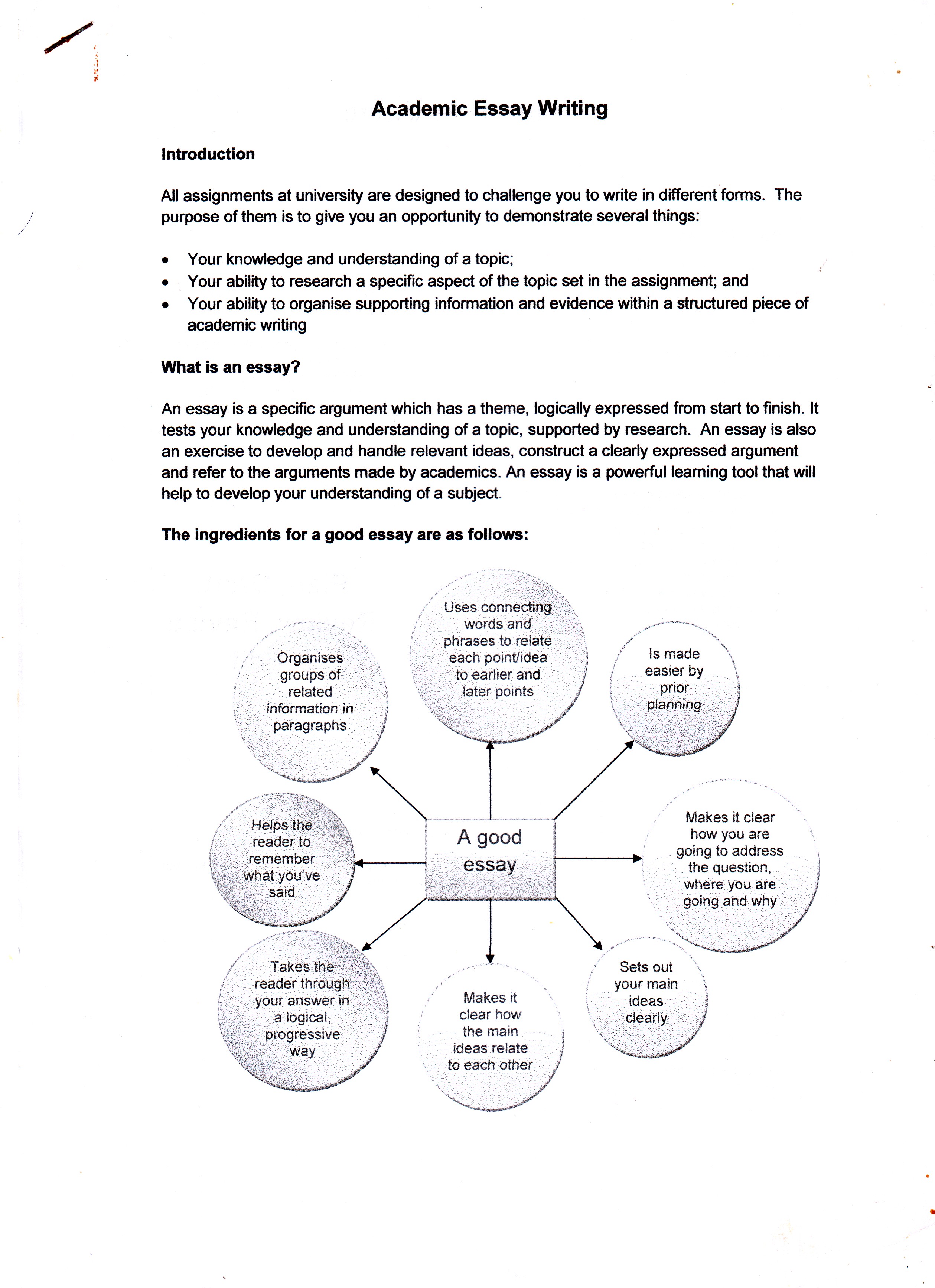 diploma essay writing diploma essay writing